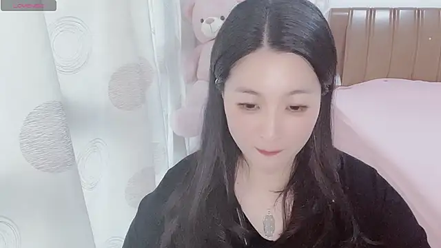 D-Misslu webcam