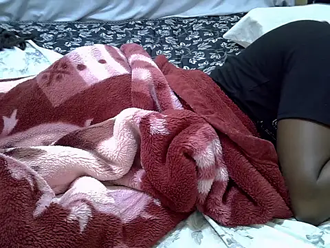 sexey-libesa webcam
