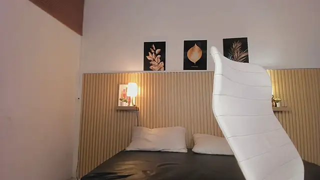 LittleNoor webcam