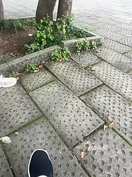 waabaobao webcam