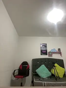 AMY-0317 webcam