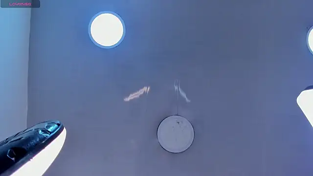 1Sloppy_Fox4 webcam