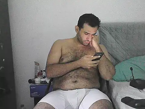 IronSideBear webcam