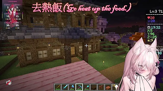Fatis-Rin-Meow webcam