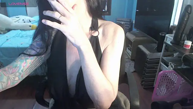 VenusX webcam