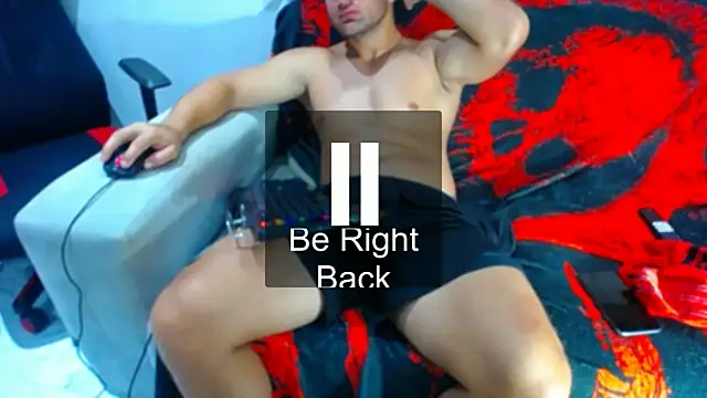 hugo_19cm webcam