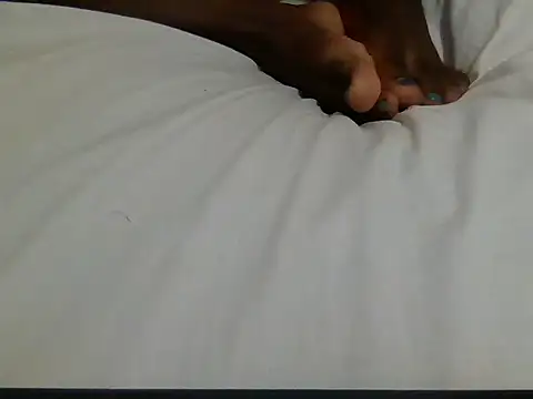 Nellywet webcam