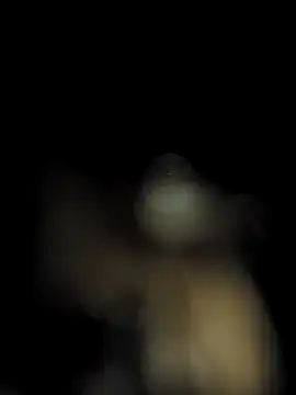 ch___ro69 live sex cam