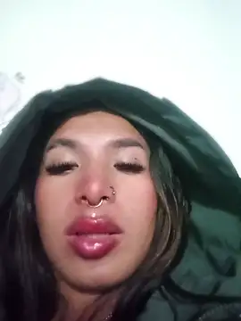 MeelFox webcam