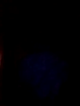 JYOTI_023 webcam