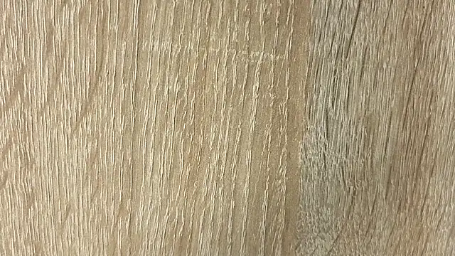 NoFace_Model webcam