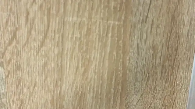 NoFace_Model webcam