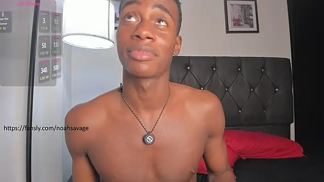noah_johes webcam