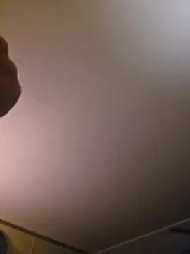 twistafatpipe webcam