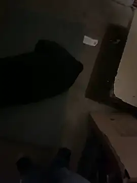 Shawnronald420861 webcam