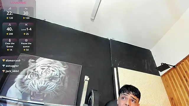Yeidonn webcam