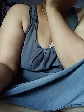 Hansikatelugu webcam