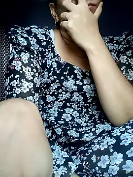 Hansikatelugu webcam