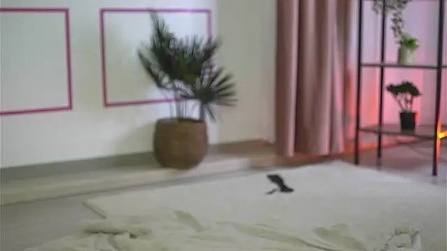 Cherrysweett live cam on StripChat