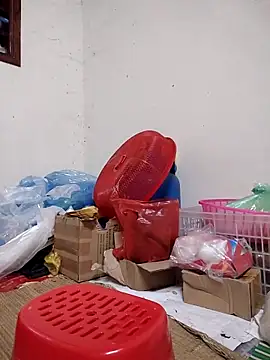 -Tara-a