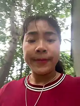 Nul_chal webcam