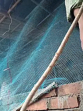 Sweet-runi webcam