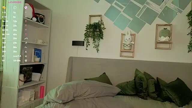 EvaSolisv webcam