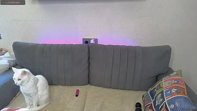 _Sweetie_Kitty_ webcam