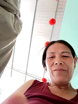 toyo_668 webcam