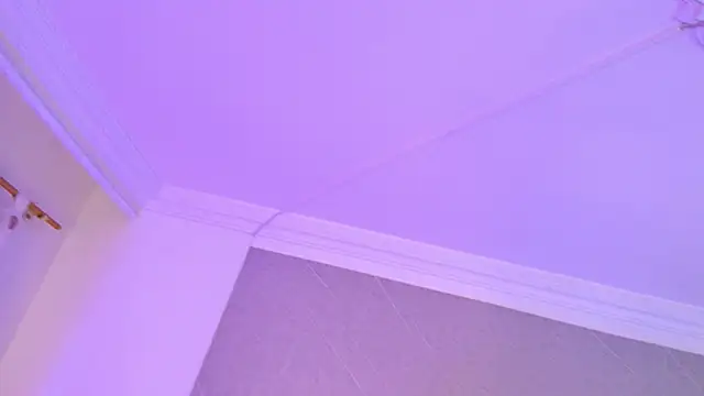Jhon_and_Karol webcam