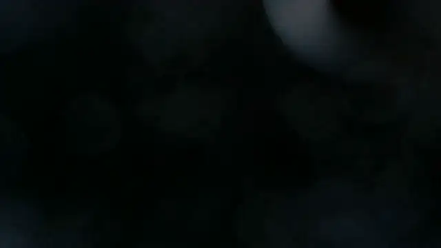 0815lukas2024 webcam