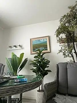 Michel_huge webcam