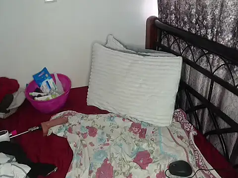 Whimsicalwillow webcam