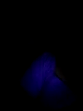 vulgovic_ webcam