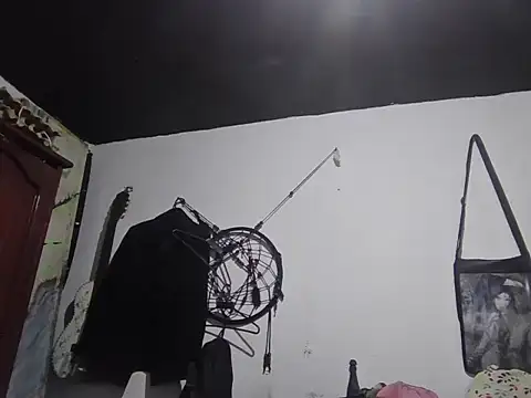 lmlfff webcam