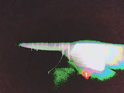 Tumikob4 webcam