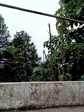 Sky-beo webcam