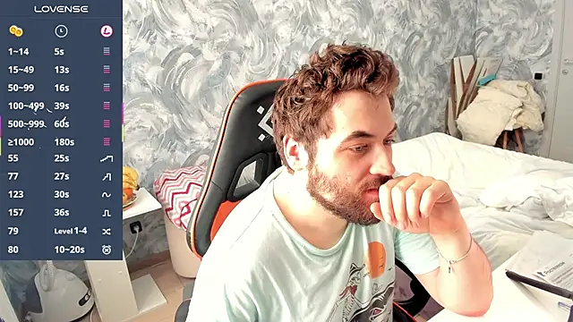 Morlaios webcam