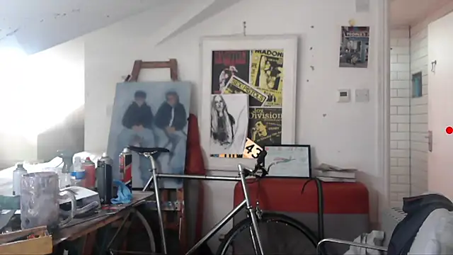 mista_sista_fista webcam