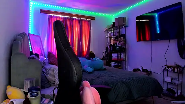 rubix_ts webcam