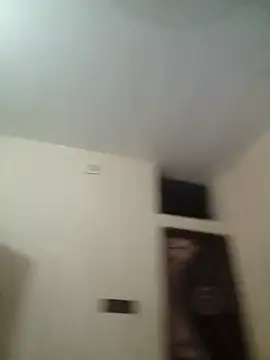 Mini_ara webcam