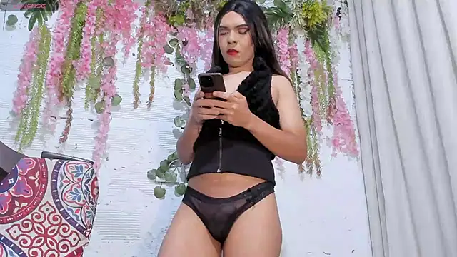 vane63 webcam