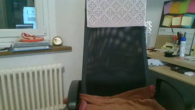 Kawayleo webcam