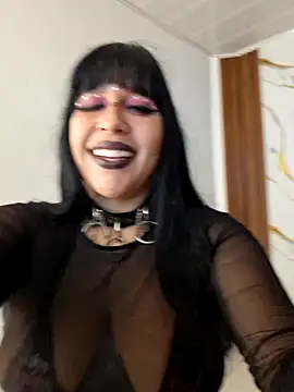 valen_ros webcam