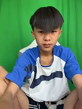 DD-101 webcam