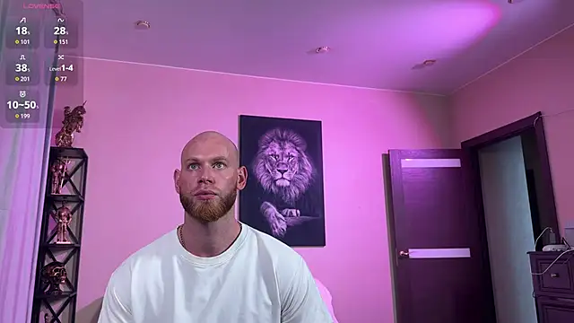 FireBeard_ webcam