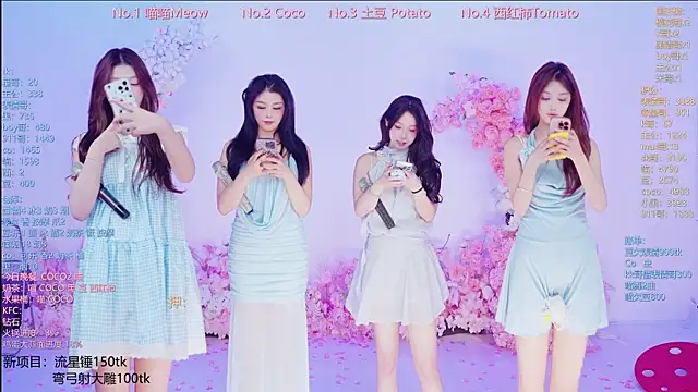 SSF-888 webcam