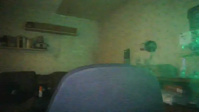 PandoranTheory webcam