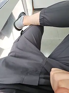 Sh-k_26 webcam