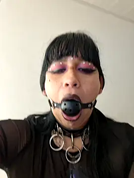 valen_ros webcam